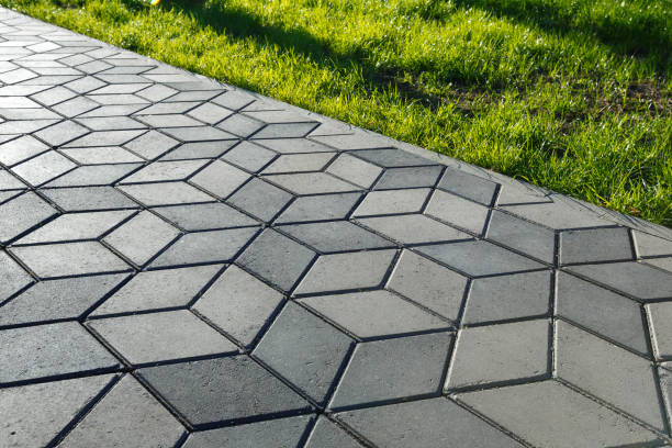 Best Driveway Paving Contractor  in Ventress, LA